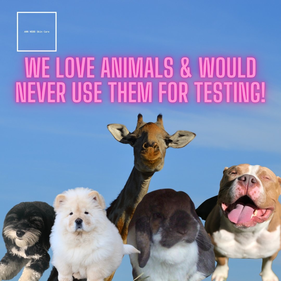 ANN WEBB Sensitive Cleansing Milk: Gentle Milky Cleanser that Nourishes and Rejuvenates skin. Made in America.