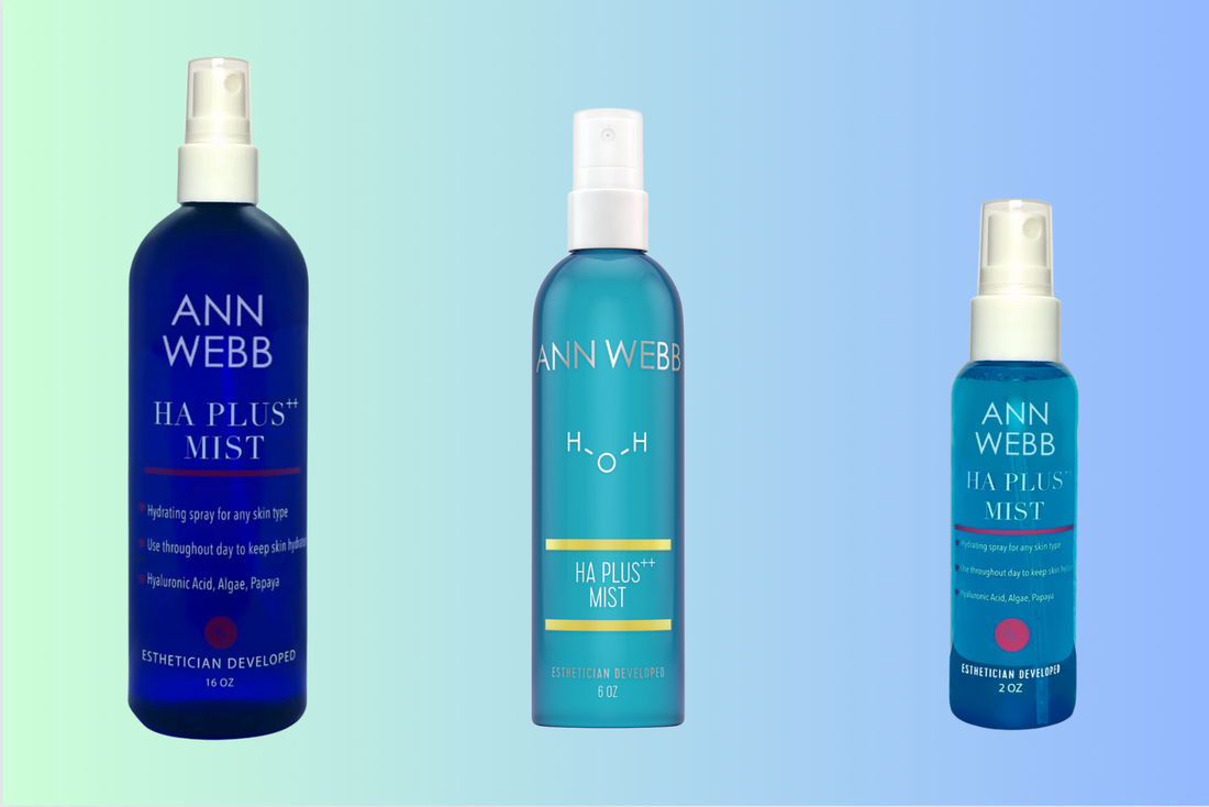 Ann Webb Skin Care HA Mist - Biggie Size it